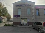 Магазин Фортуна (Dzerzhinskogo Street, 32), tienda de repuestos y artículos para automóviles