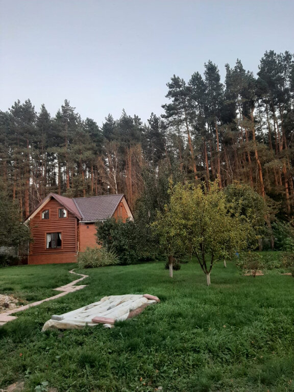 Фото Оптинадом