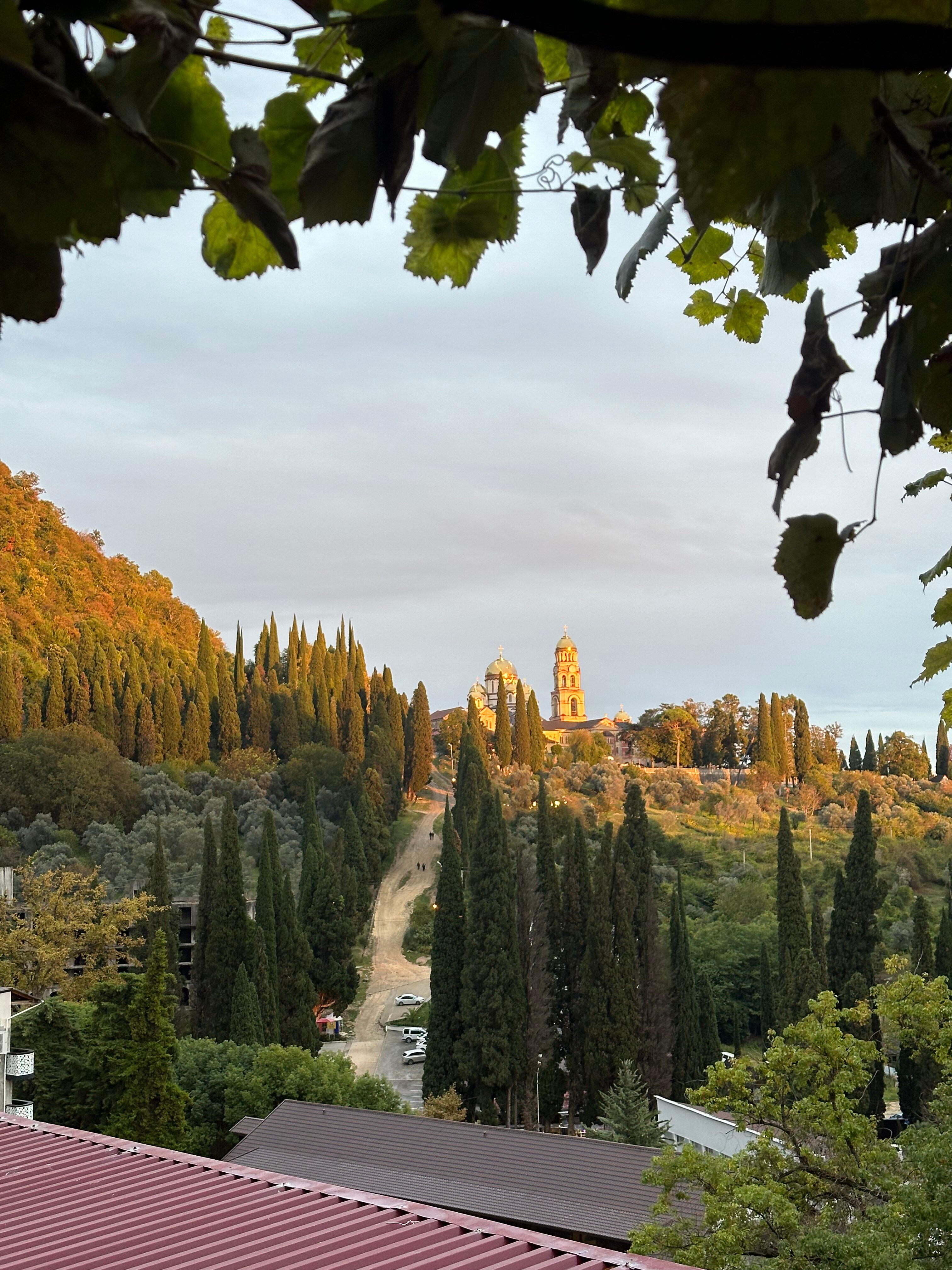 Фото Эль Платано
