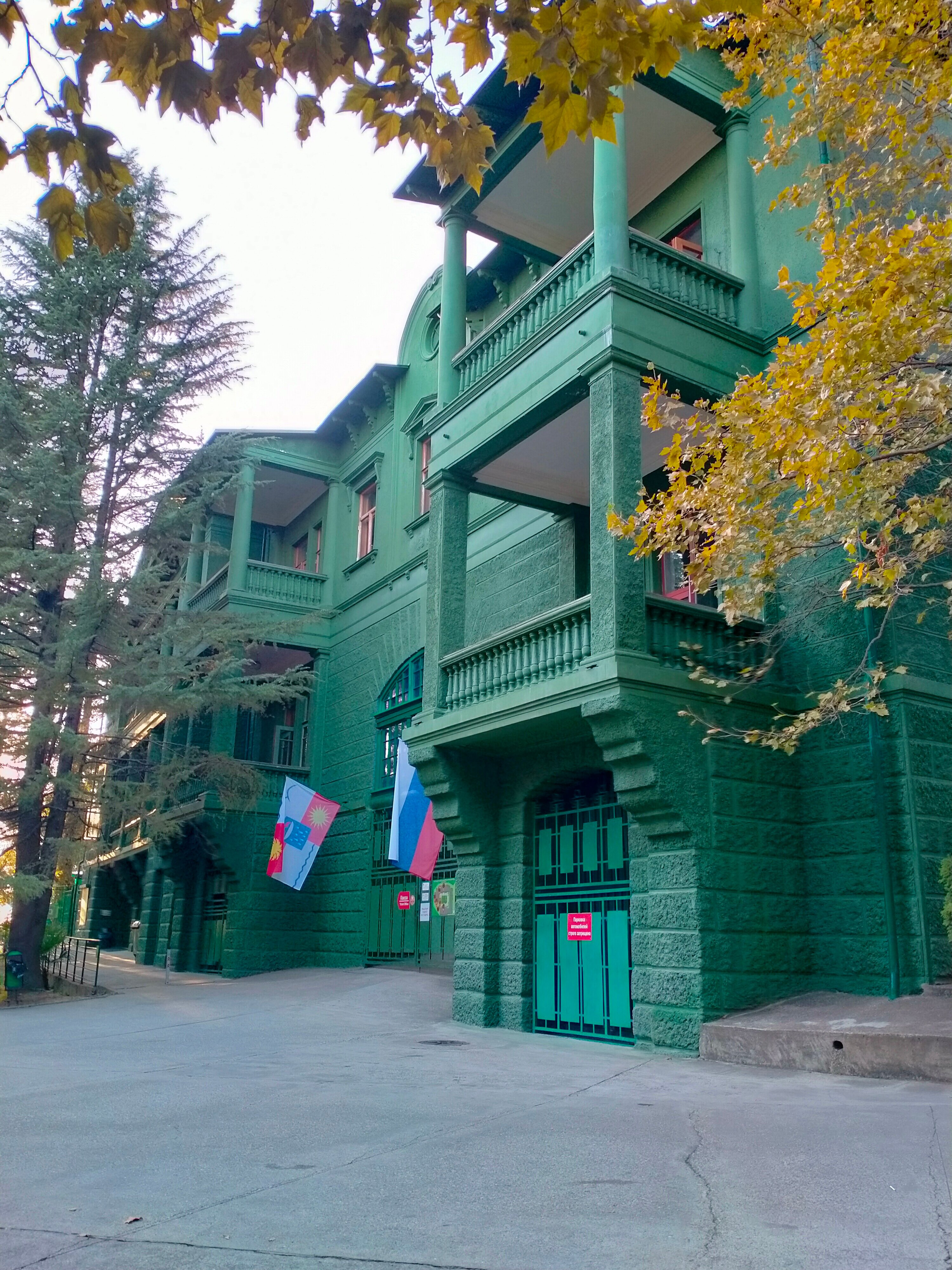 Фото Зелёная роща