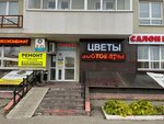 Roza mimoza (Matusievicha Street, 66), flower shop