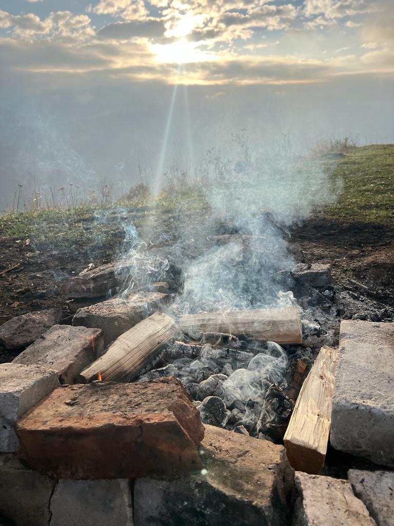 Фото Ягодный тис