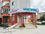 Pandasadik (Shirotnaya ulitsa, 124), kindergarten, nursery