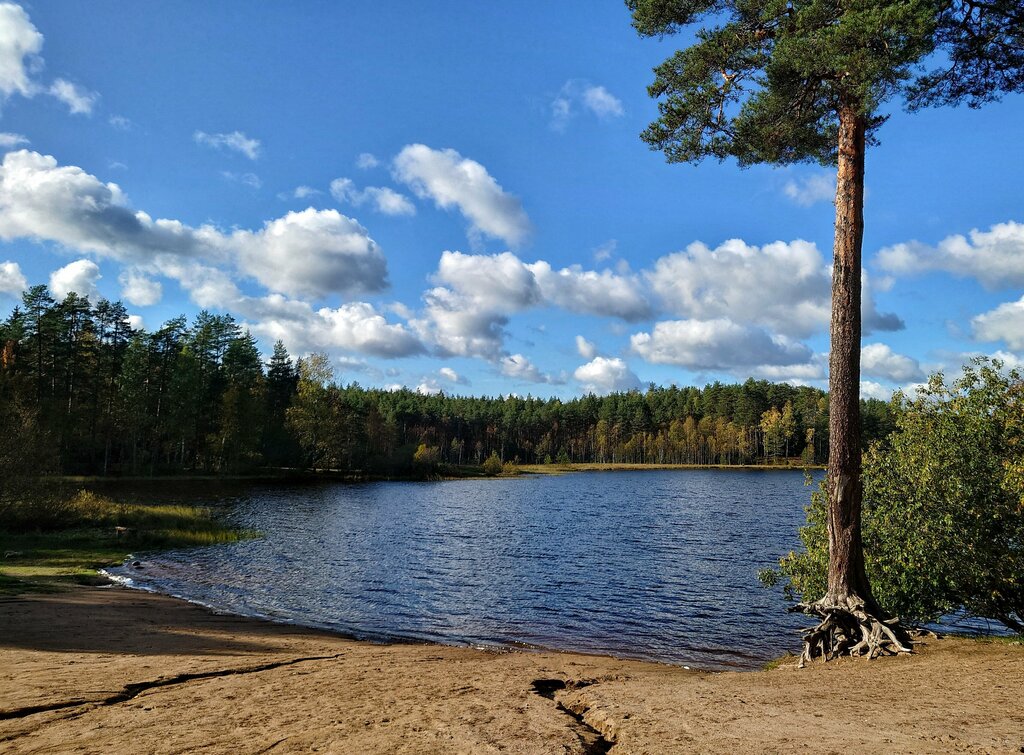 Пляж Пасторское Озеро, Санкт‑Петербург и Ленинградская область, фото