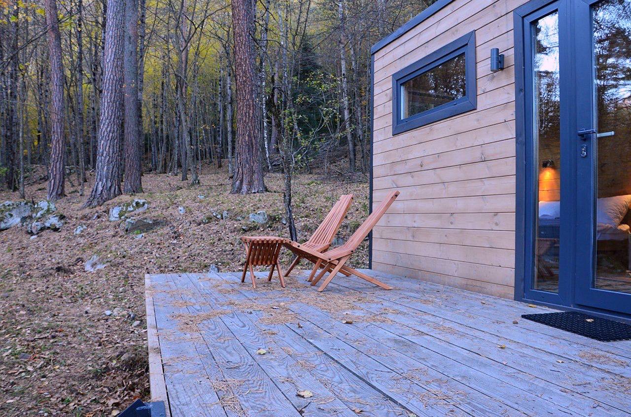 Фото Шелест