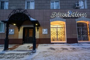 Серебряная лошадь