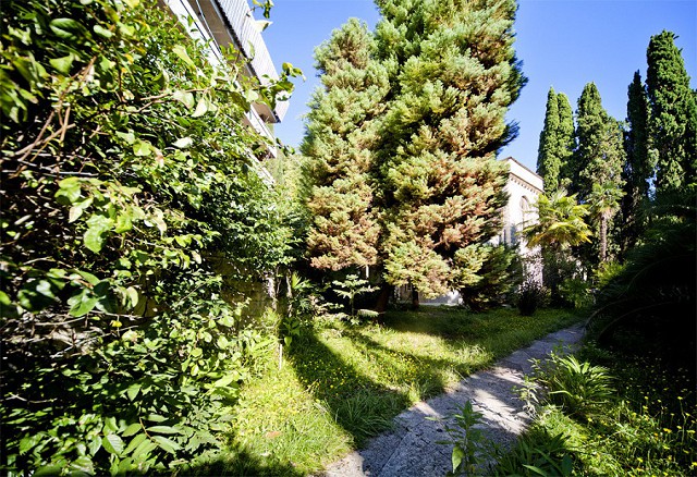 Фото Пансионат Гагра