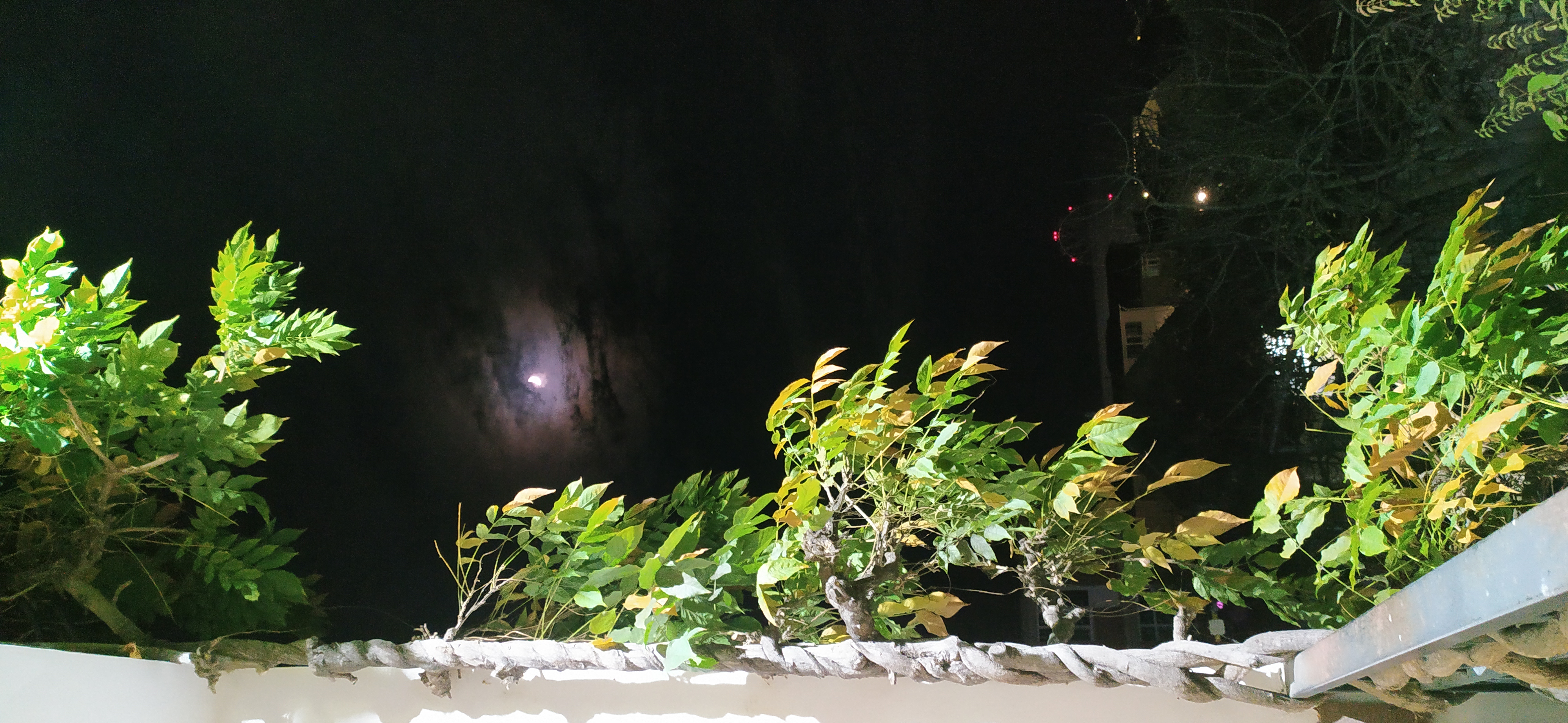 Фото Тихий рай