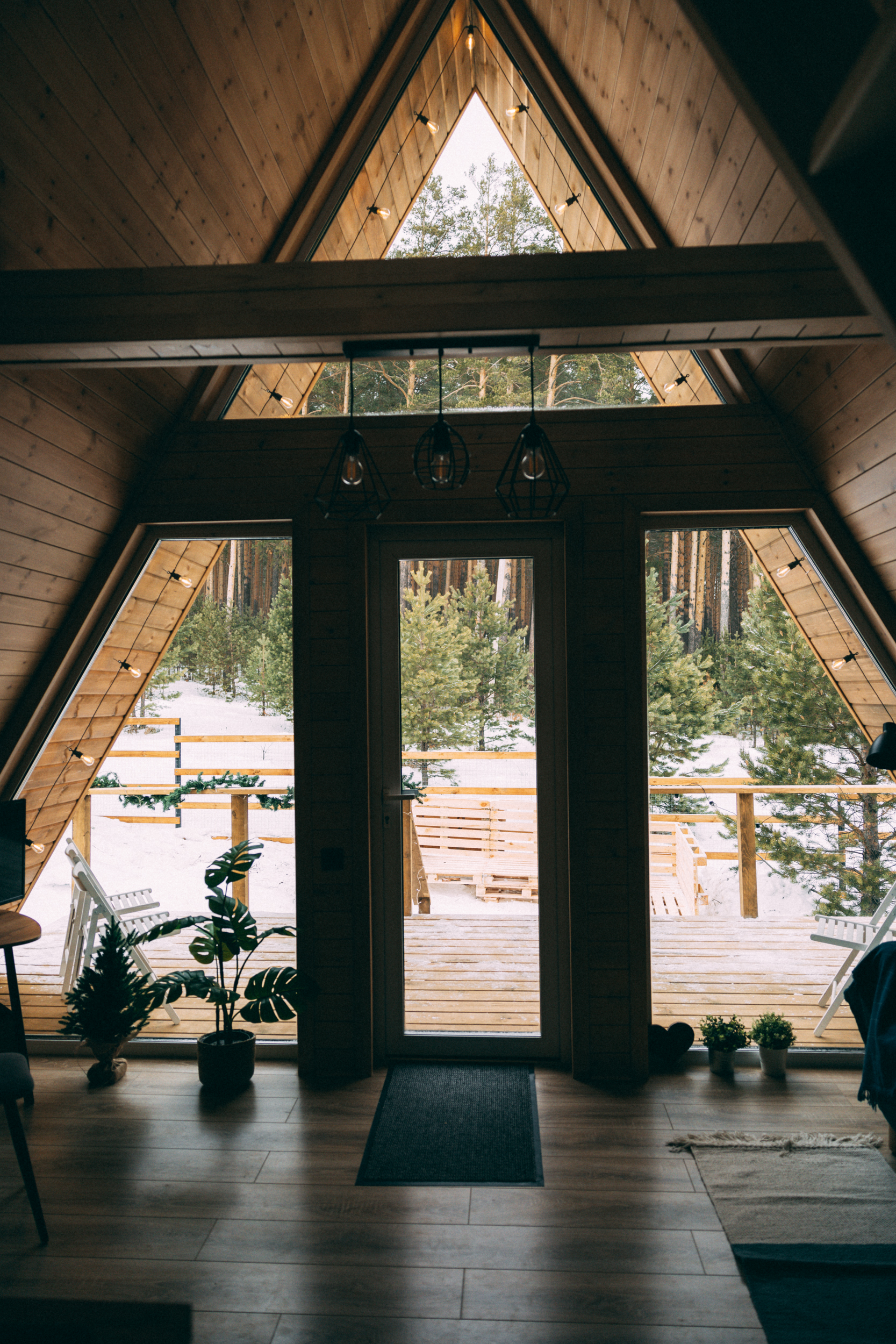 Фото Ёлки Кэмп