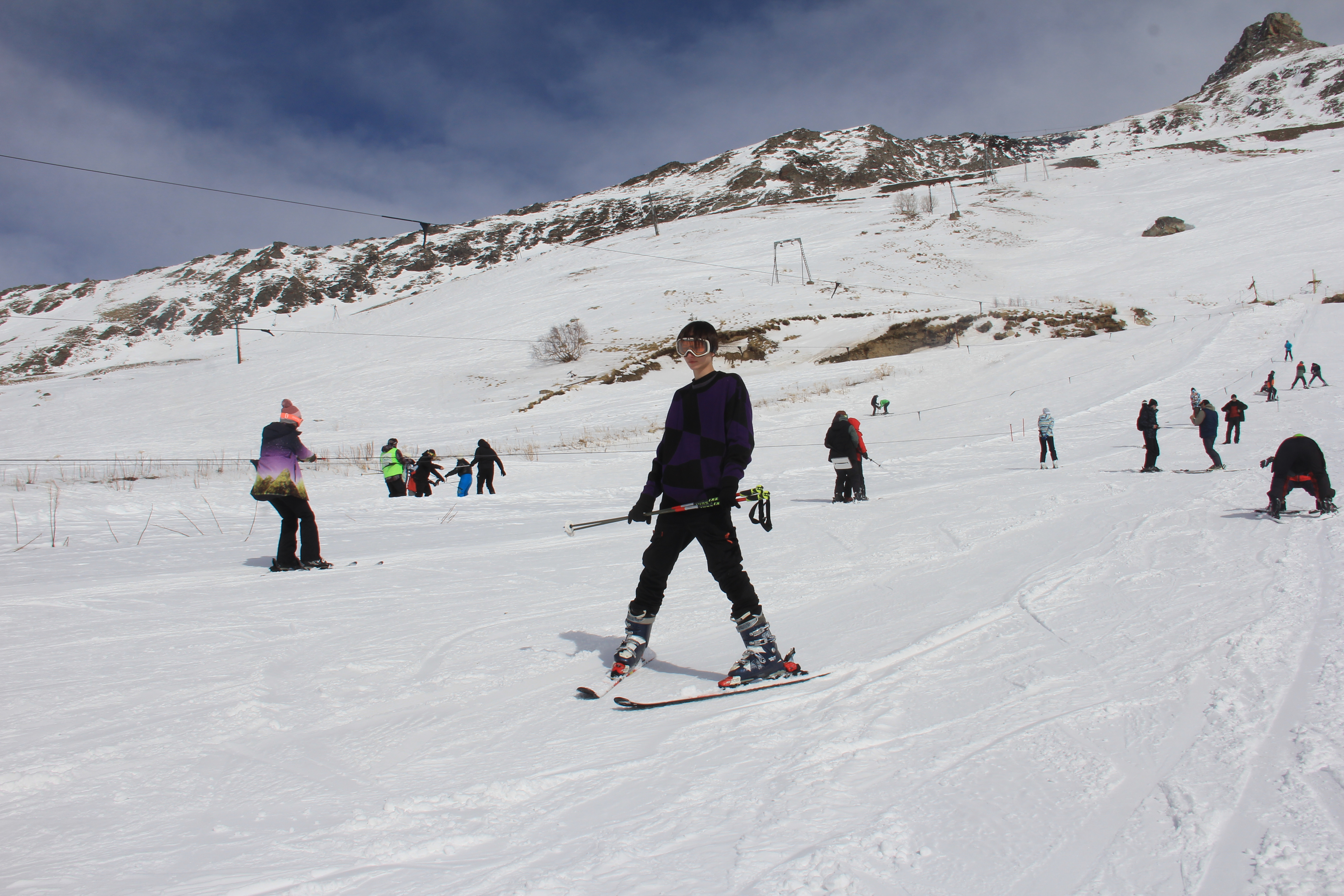 Фото Снежный Барс