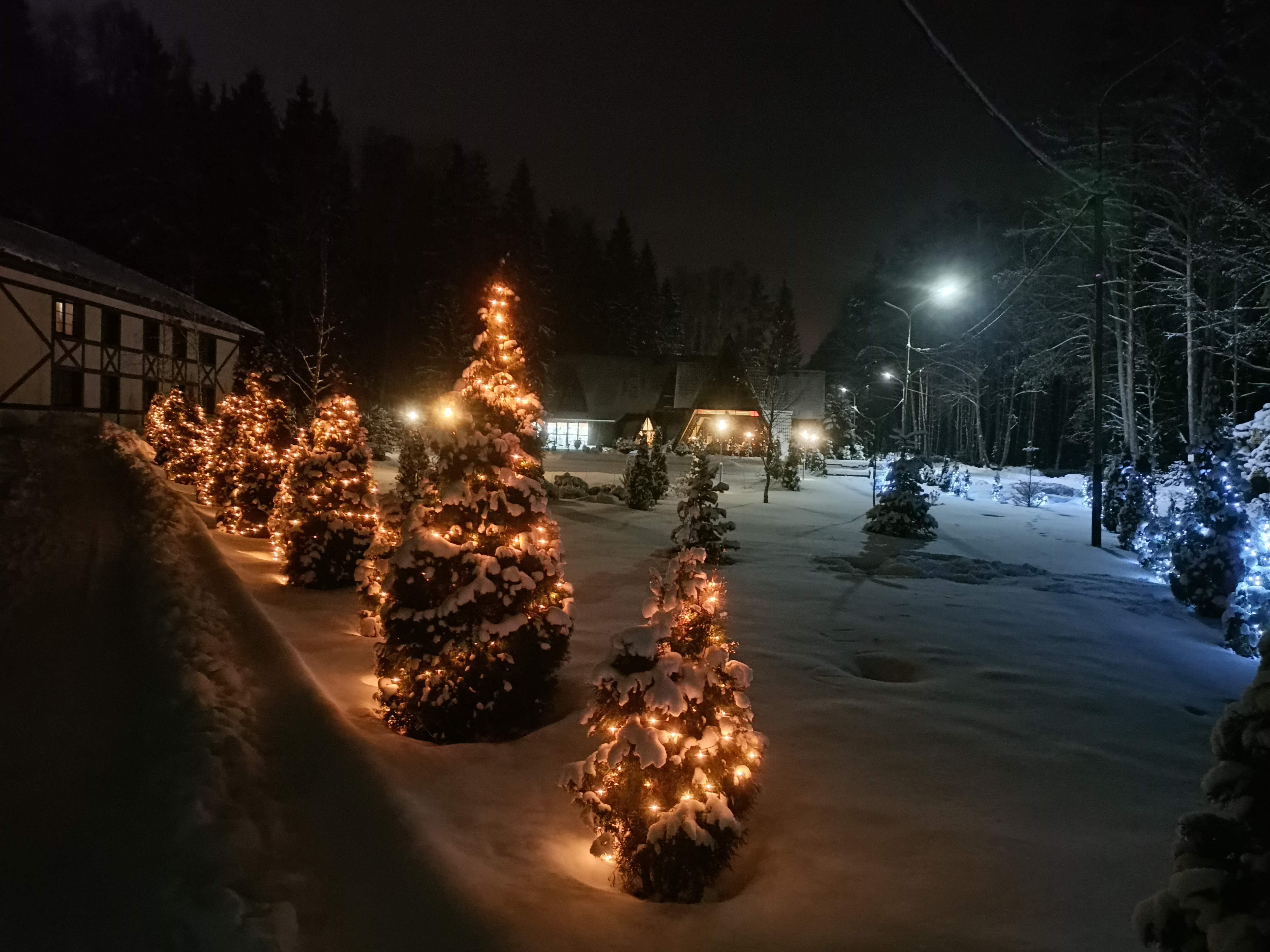 Фото Парк Звёзд