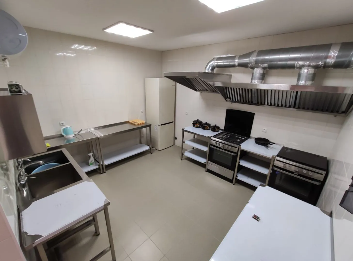 Фото Дельфин