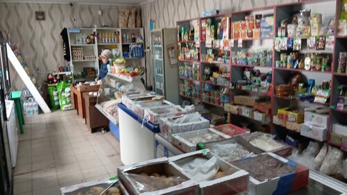 Grocery Маргарита, Ryazan Oblast, photo