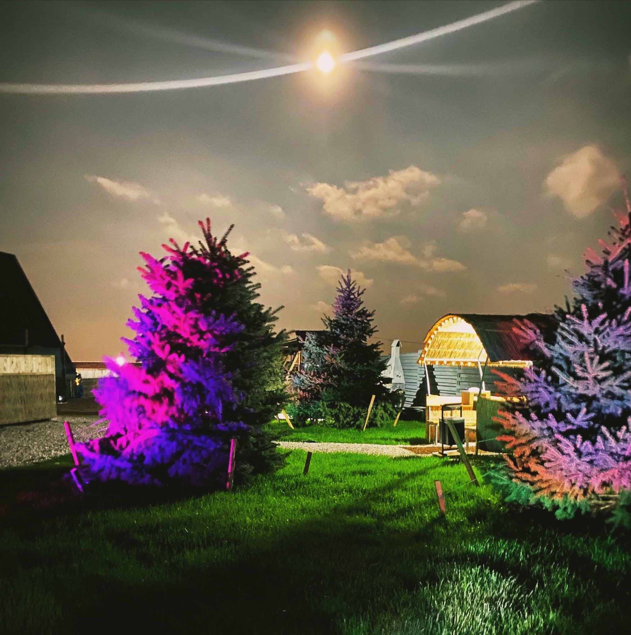 Фото NelManHouse