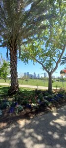 Ha-Yarkon Park (Tel Aviv, Ha-Yarkon Park), park