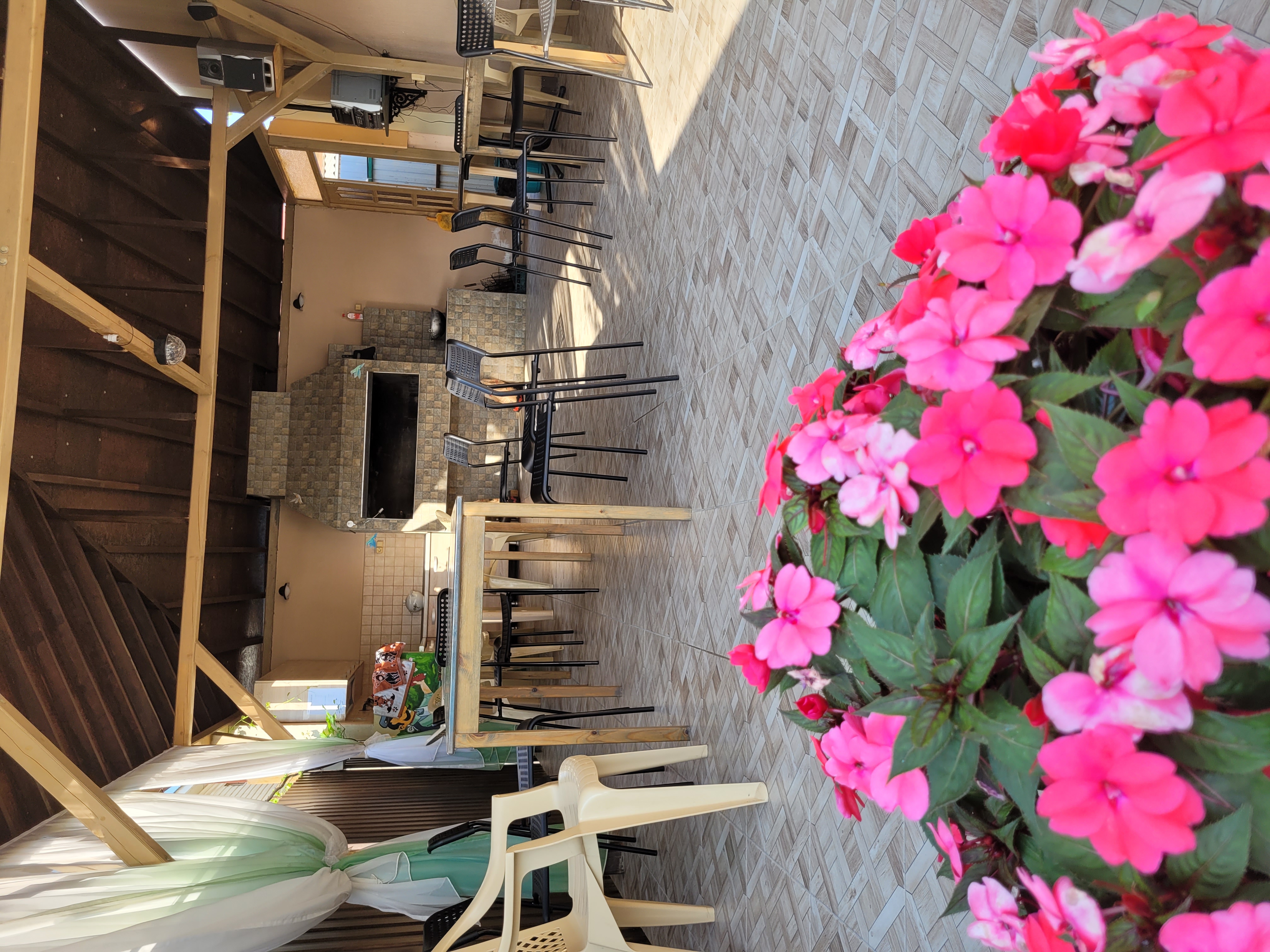 Фото Колибри