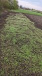 Всё для сада и огорода (село Львовское, Советская улица, 61А), tienda para jardineros