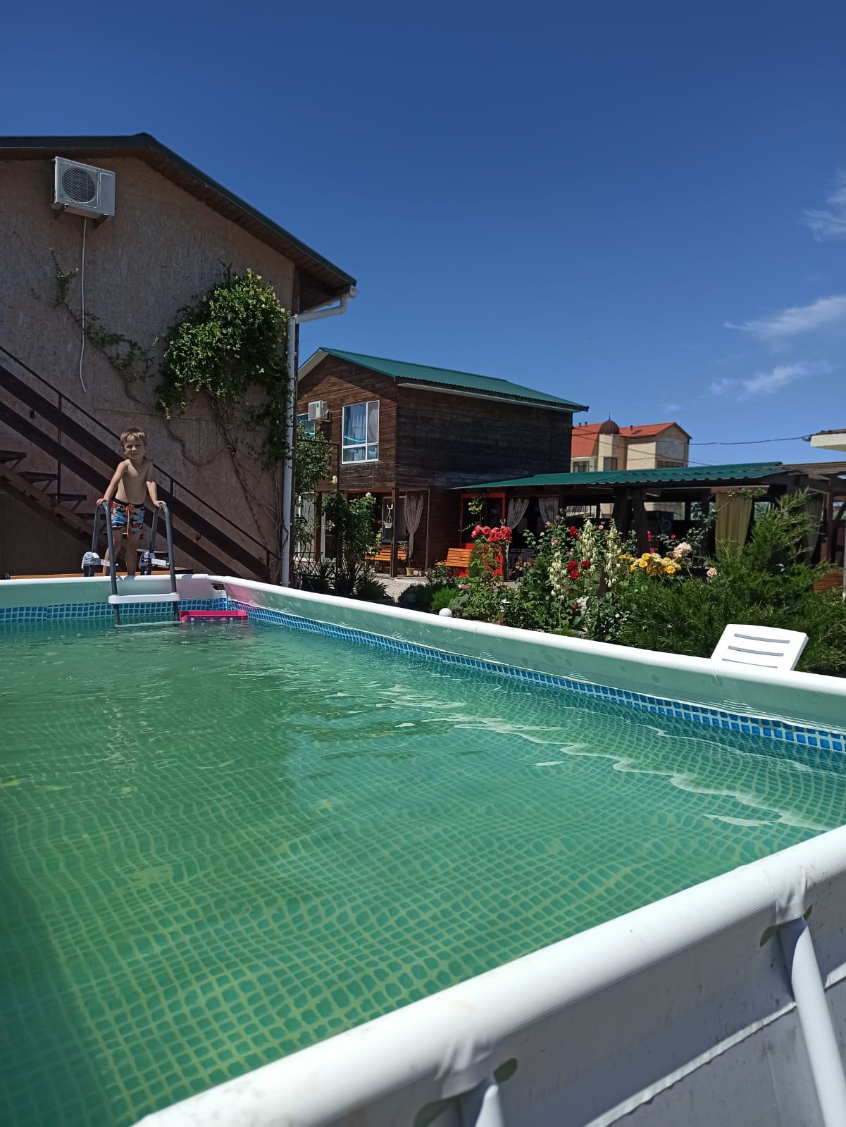 Фото Хороший гость