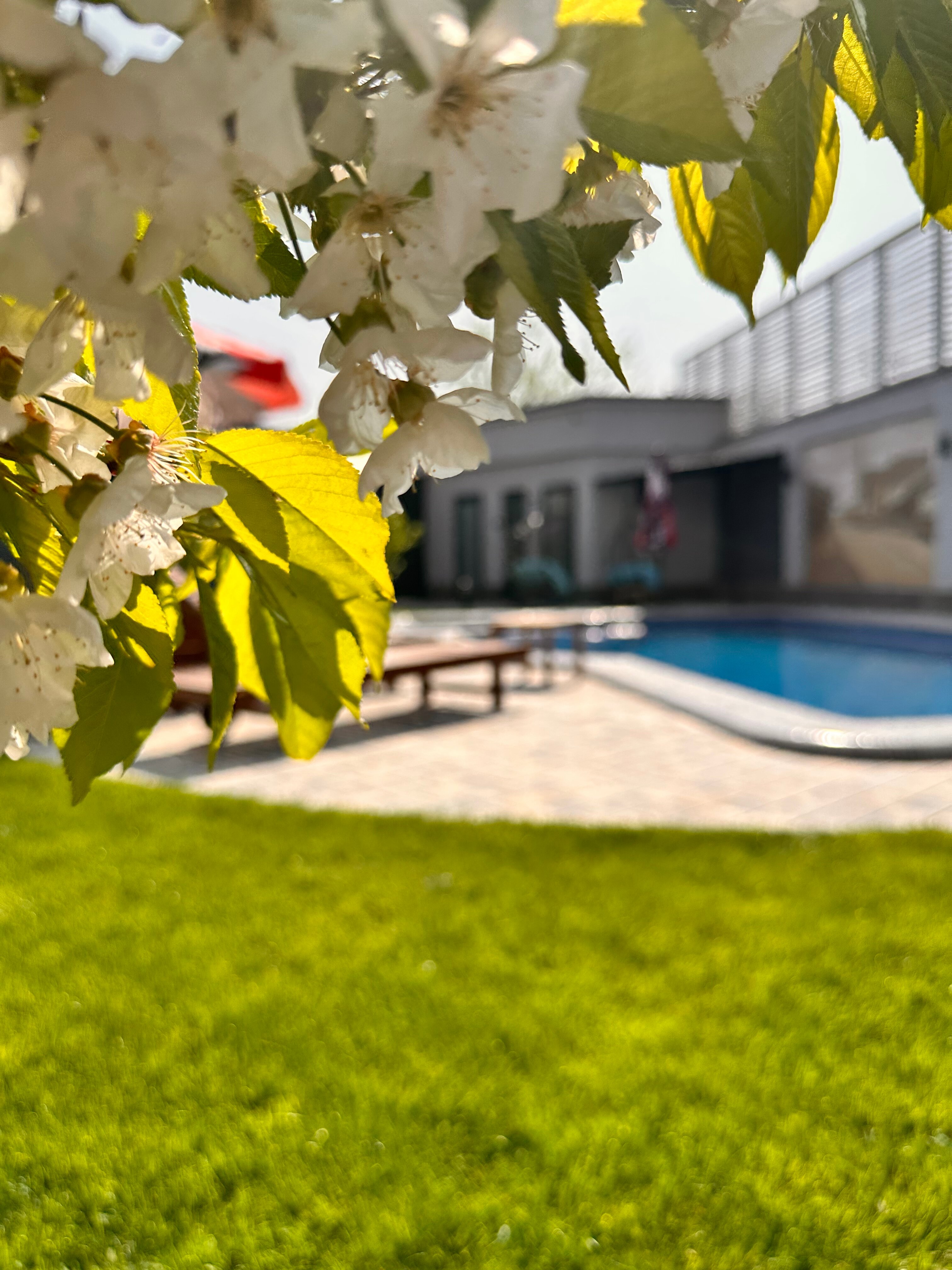 Фото Old Tashkent Hotel & SPA