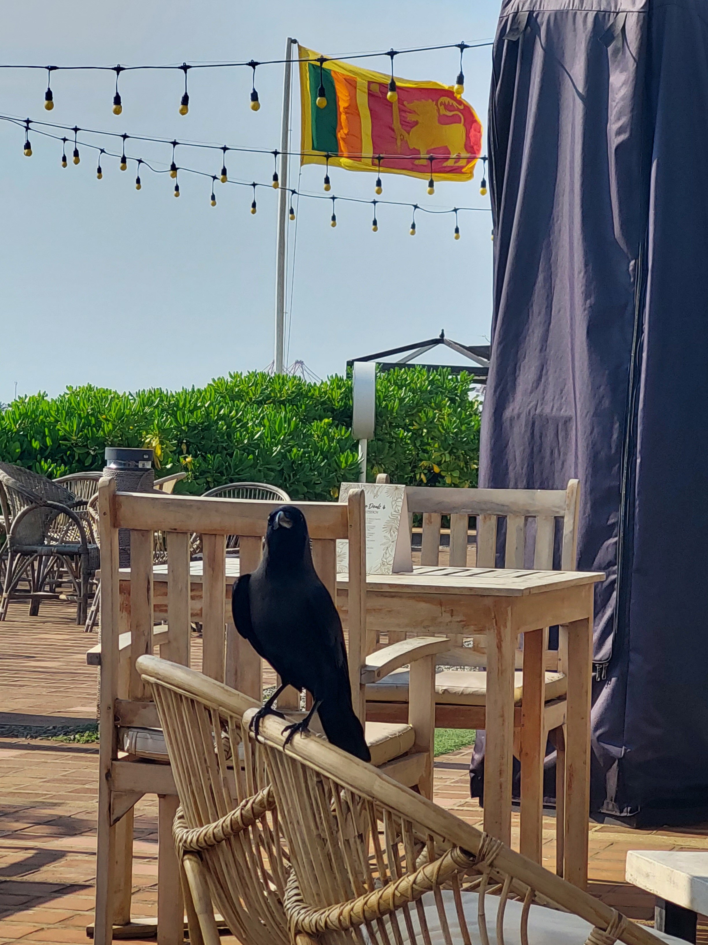 Фото Galle Face Hotel