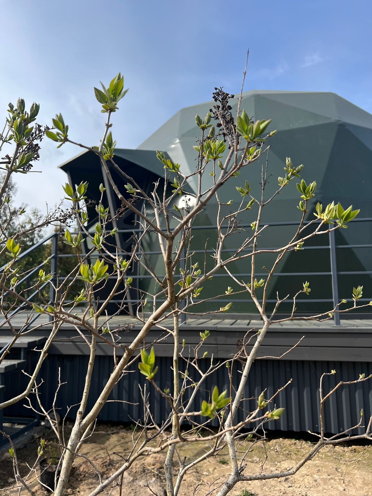 Фото Green Point