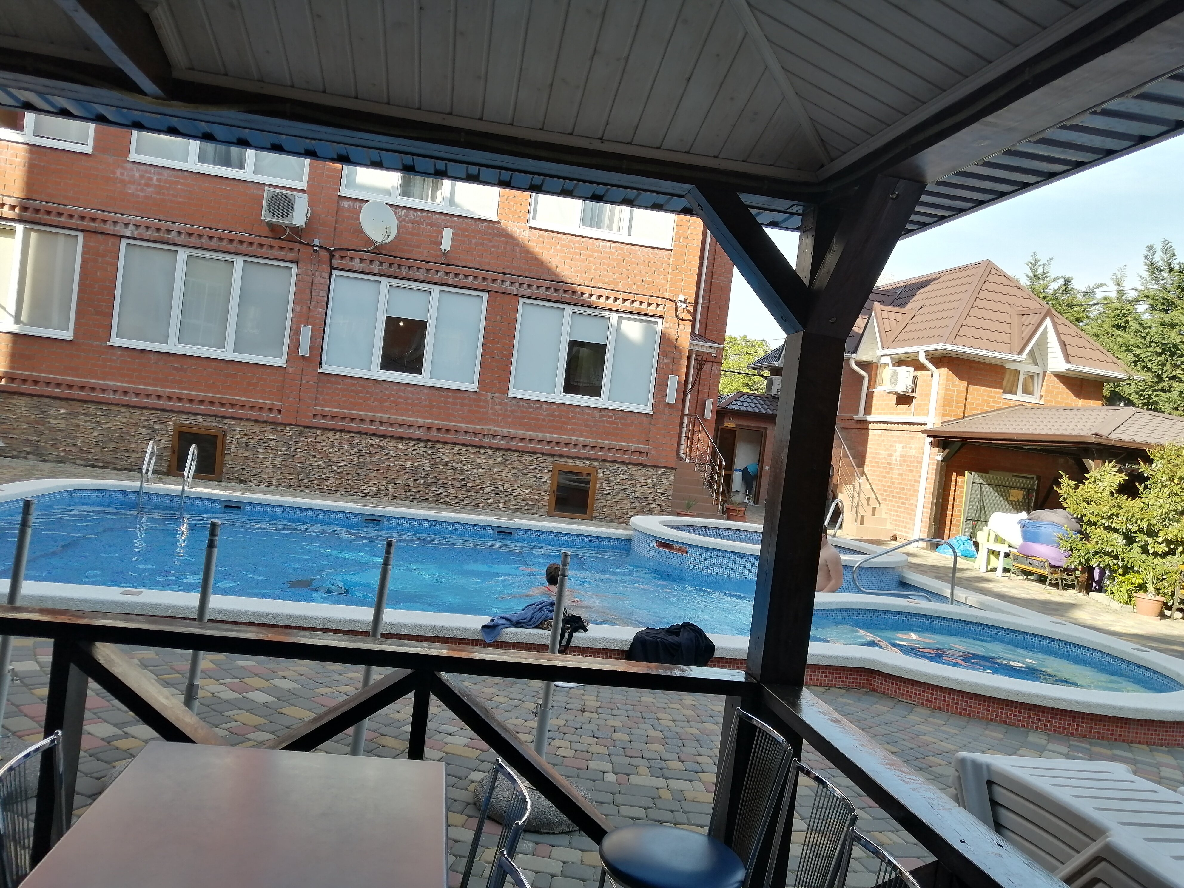 Фото Багира