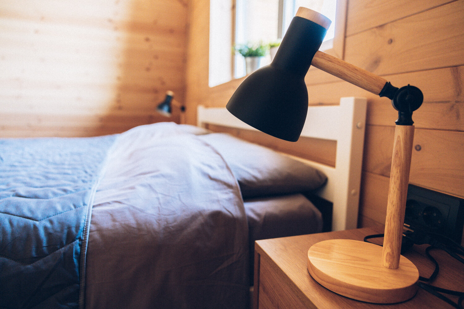 Фото Ёлки Кэмп