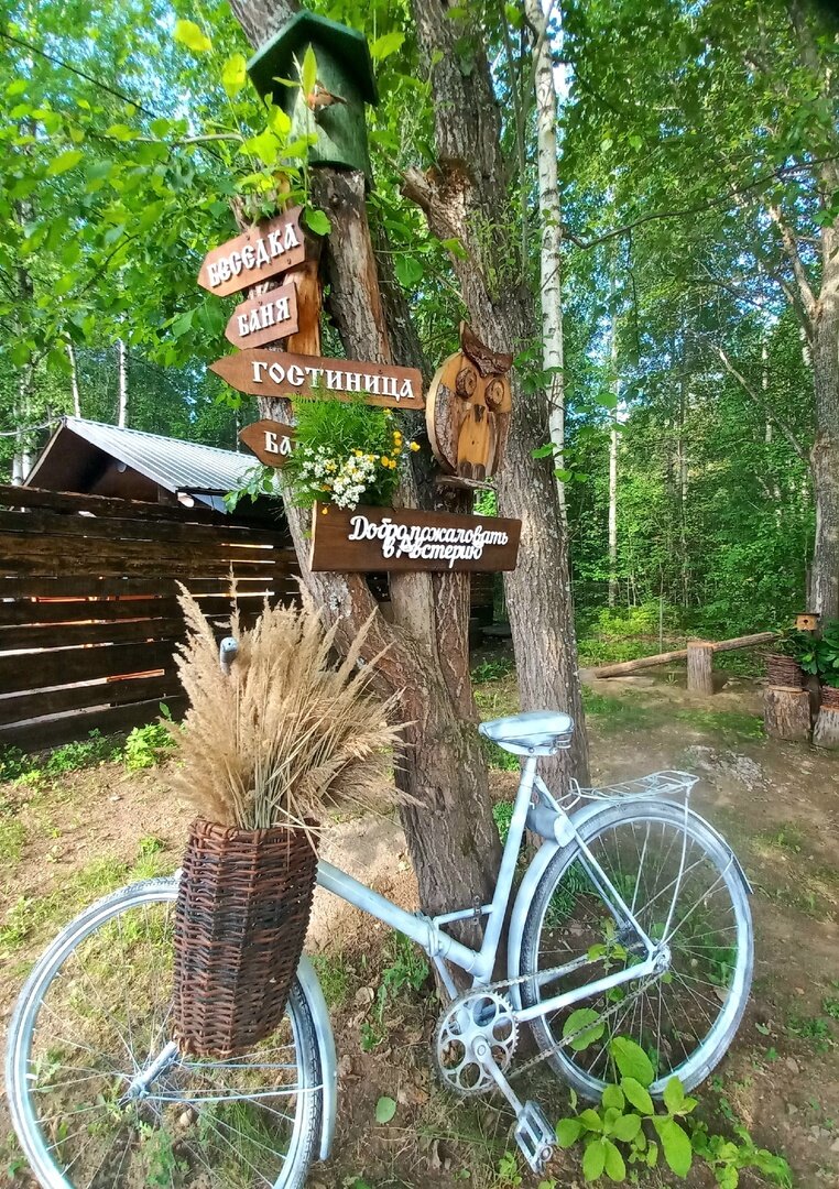 Фото Австерия