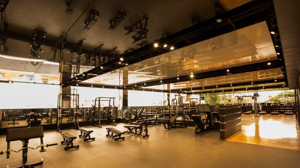 Ceiling systems Euroceil Trading LLC, Dubai, photo