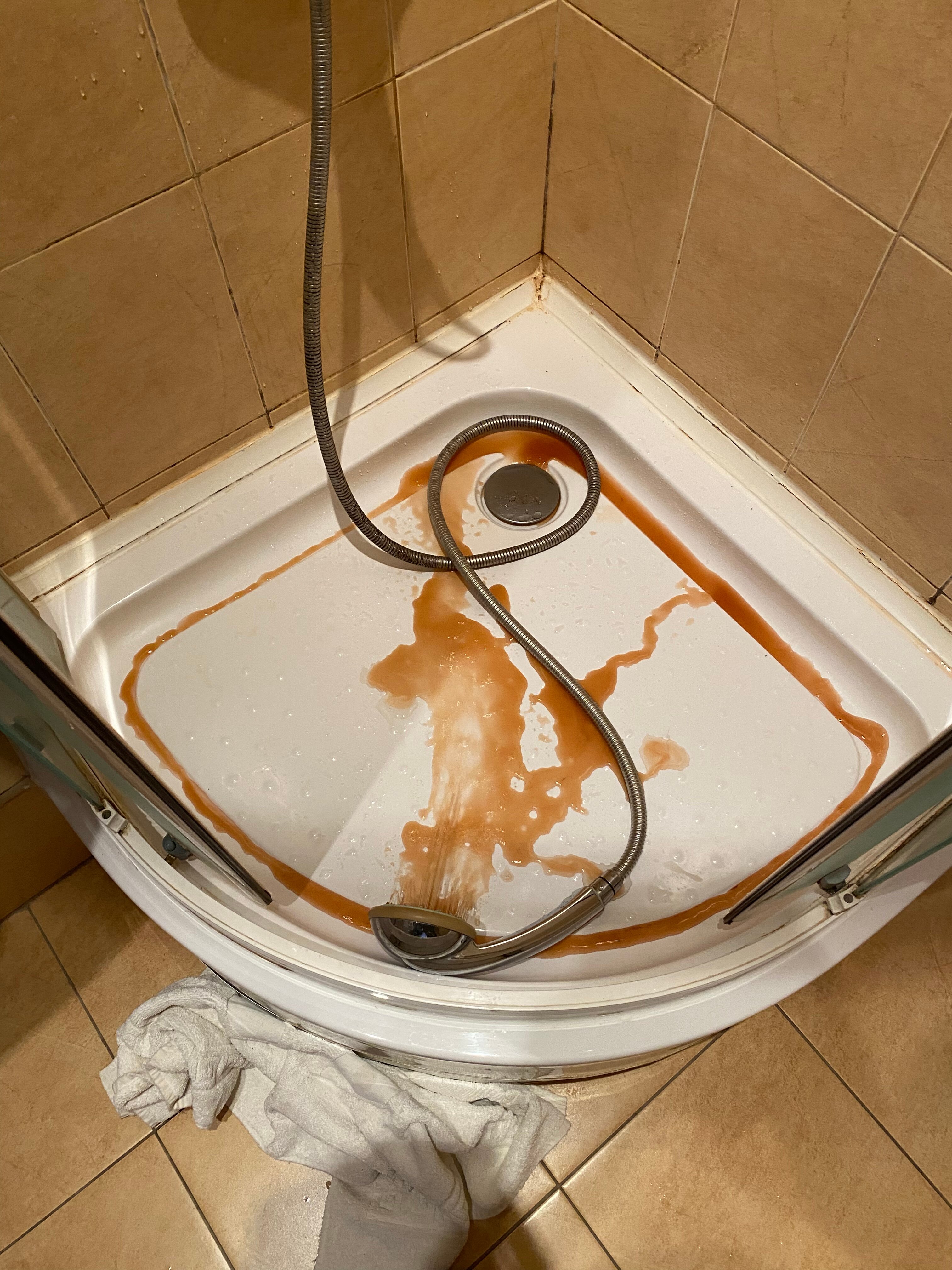 Фото Берёзка