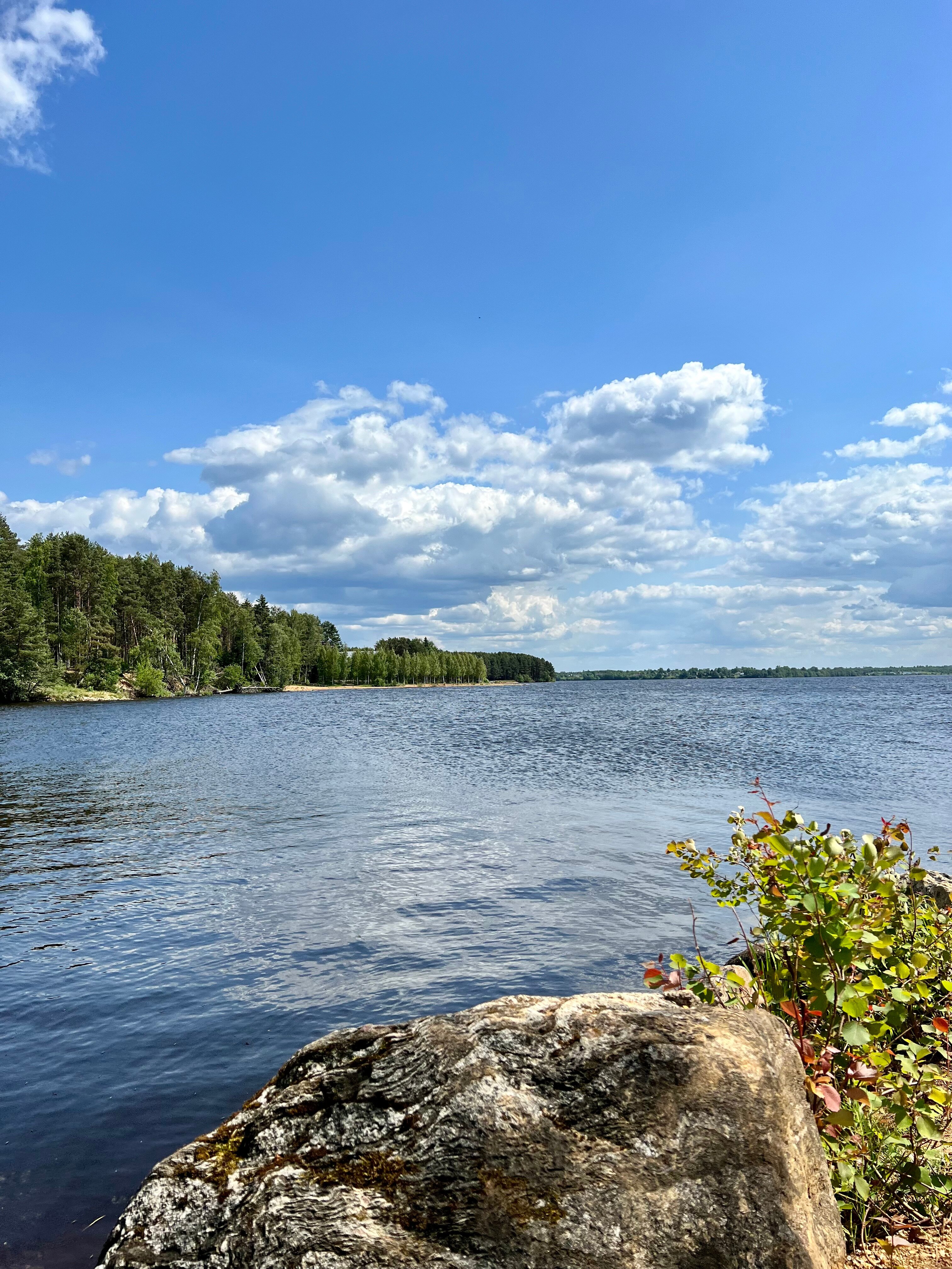 Фото Коттеджи в сосновом бору