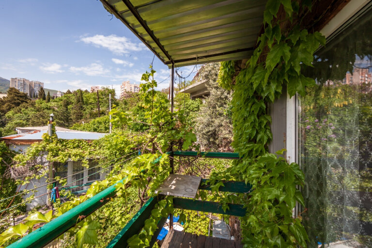 Фото Ласточка