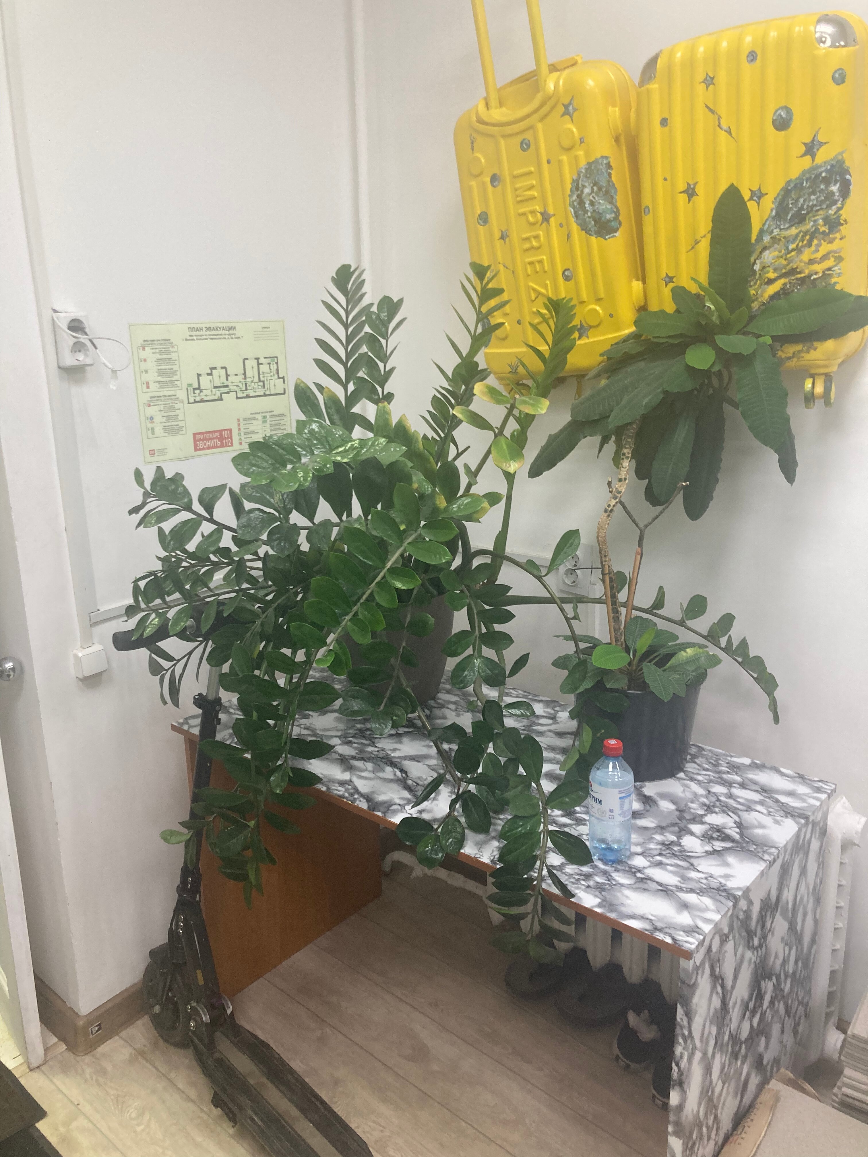 Фото Рус Черкизовская