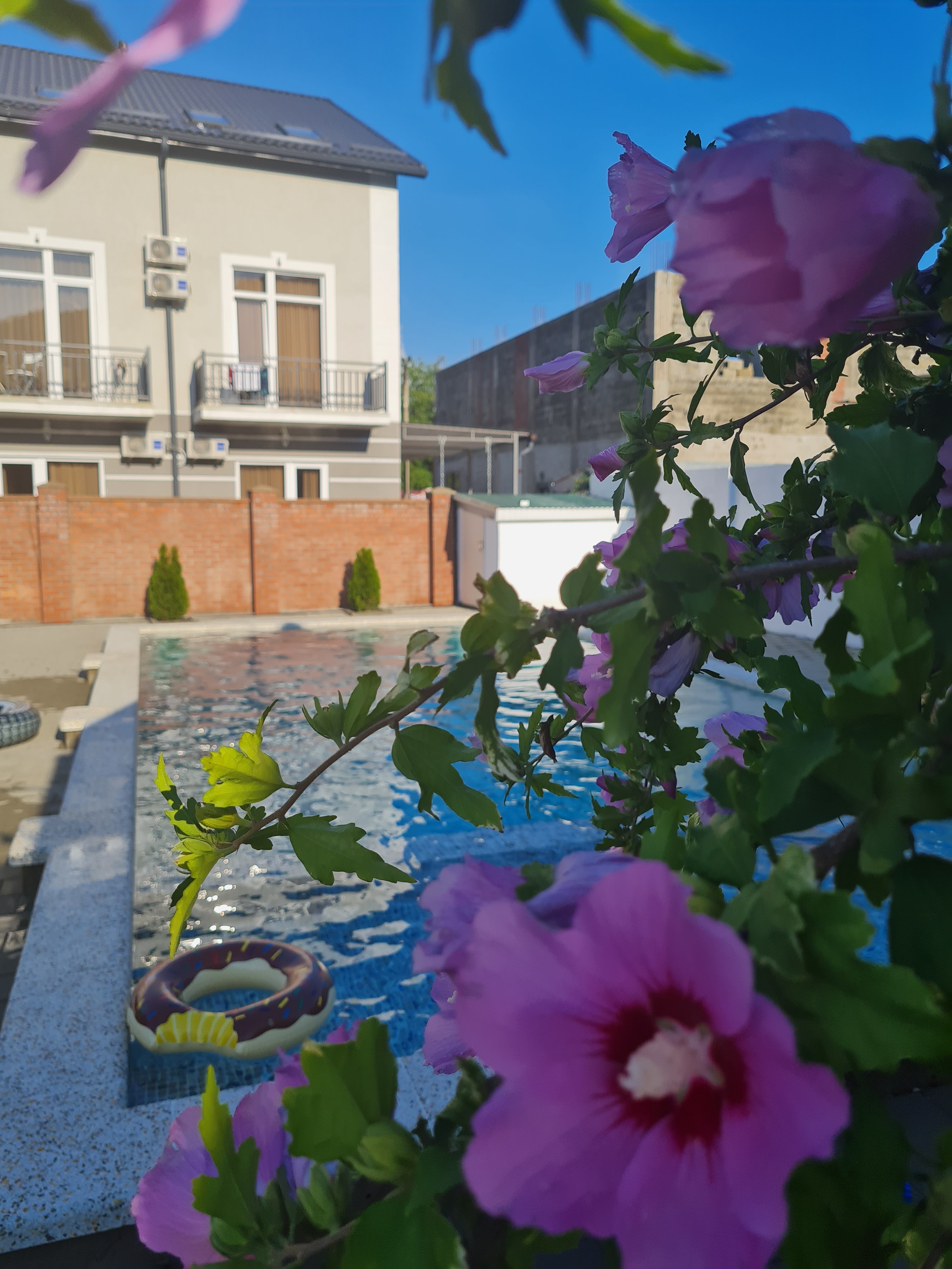 Фото Эскаргот