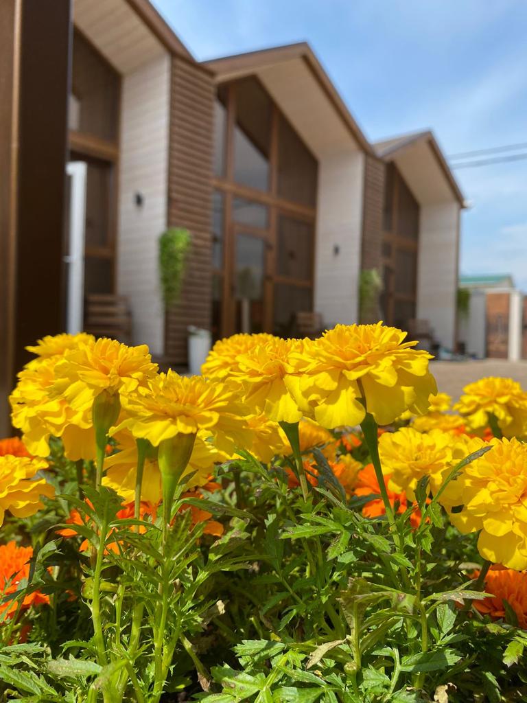 Фото МореСтиль - Экспедиция