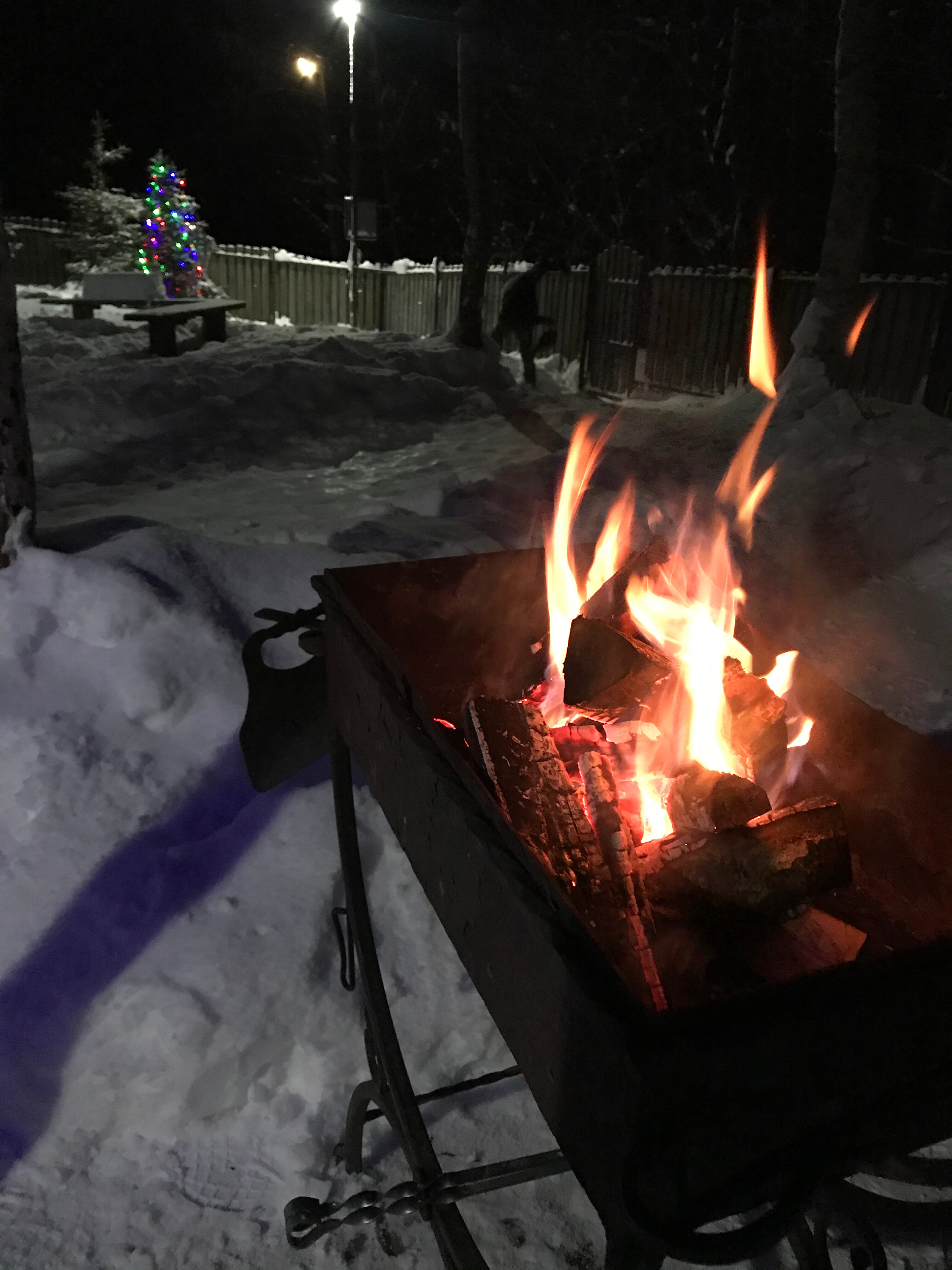 Фото Лесной