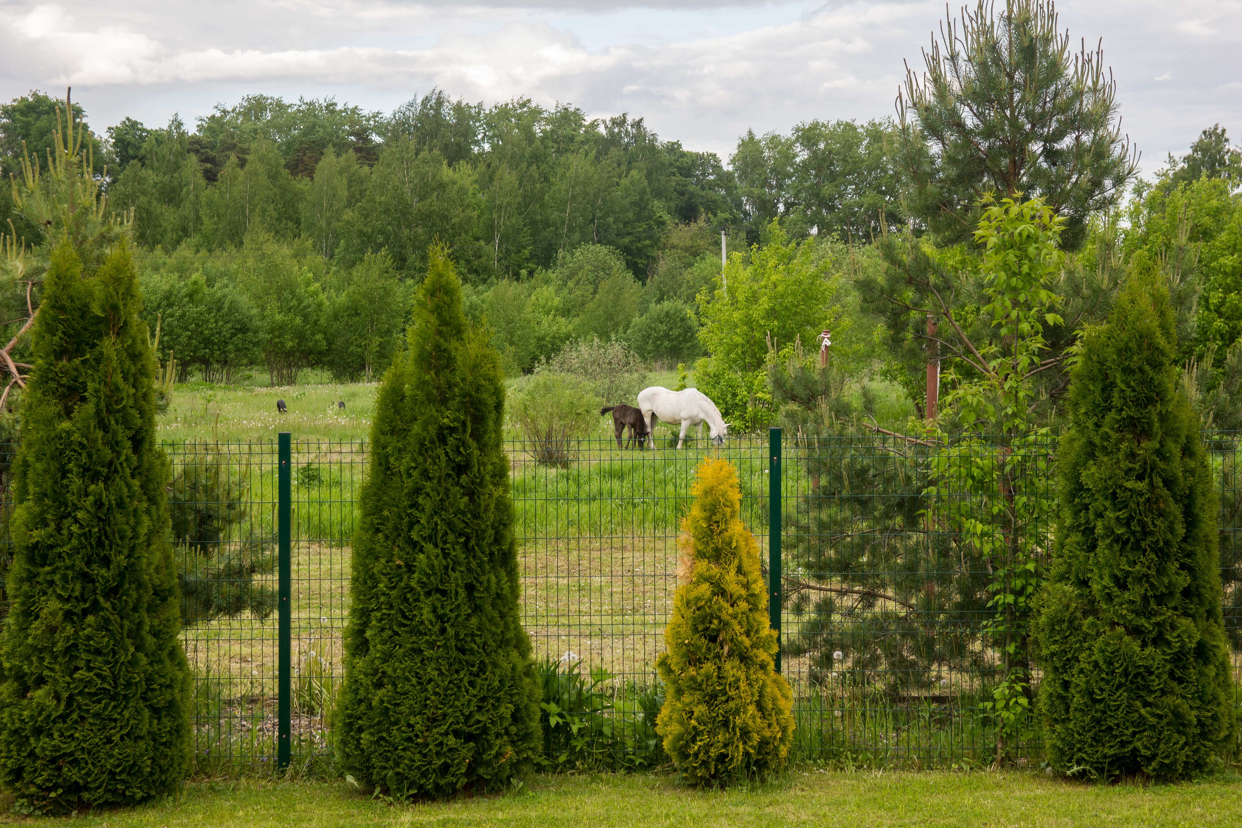 Фото Гостевой дом на Всполье