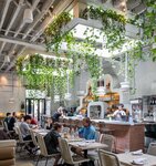 Sunscape Landscape & Gardening (Warsan 3, Mushraif, Dubai), landscape design