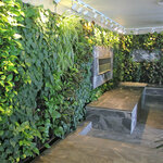 Aramis (11, 14 Street, Al Rigga, Deira, Dubai), garden center