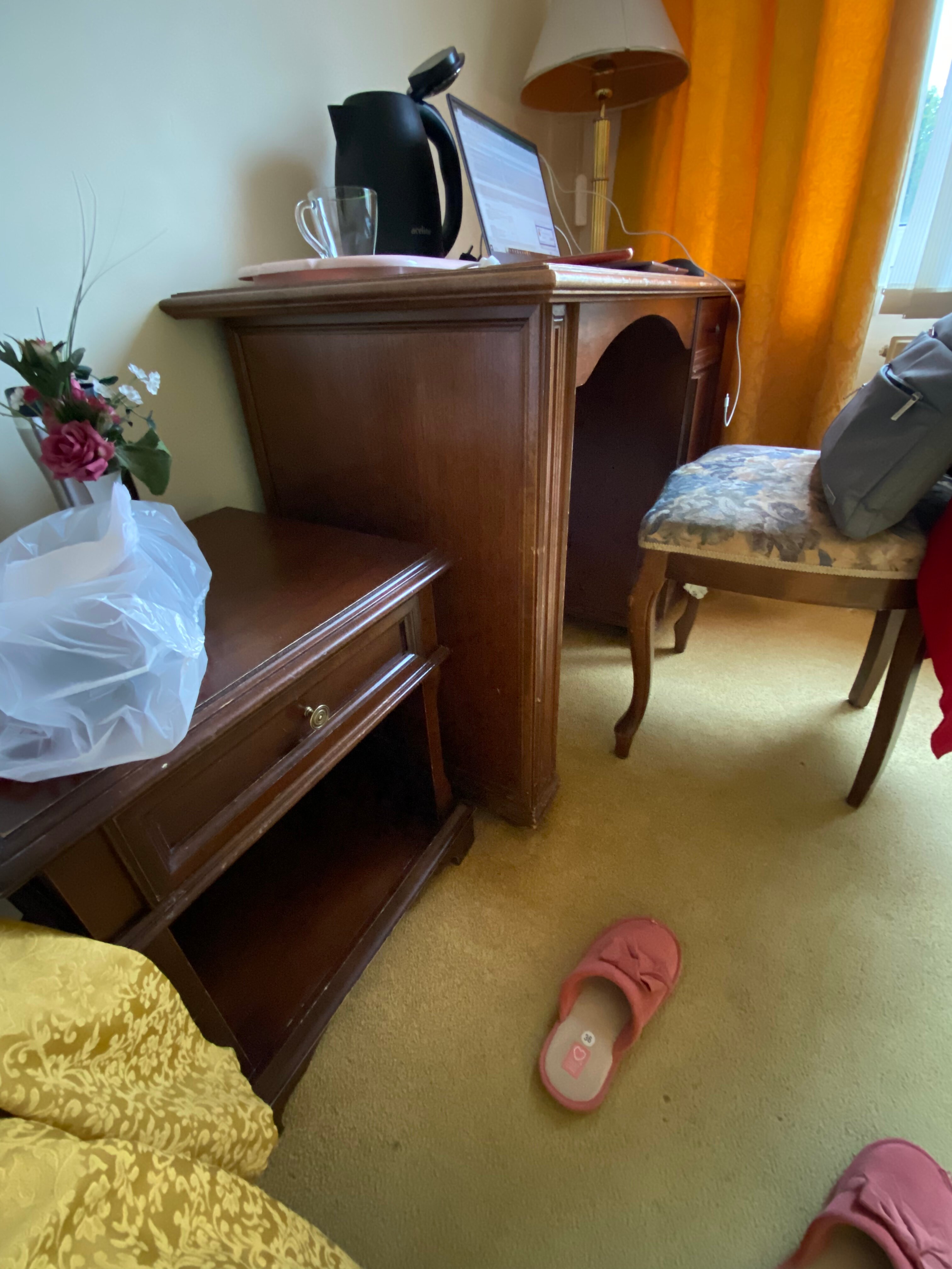 Фото Лебедь