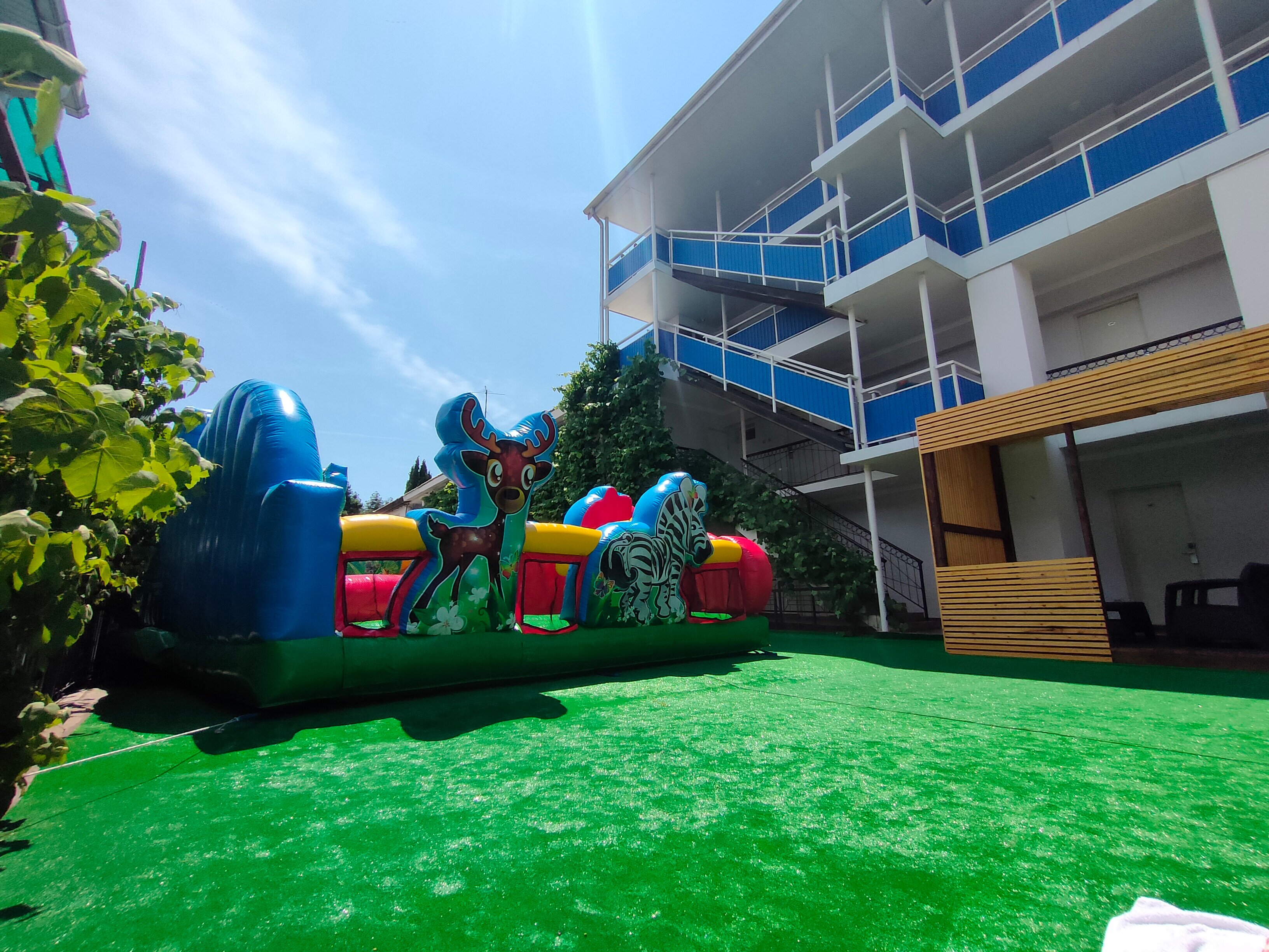 Фото Орешник