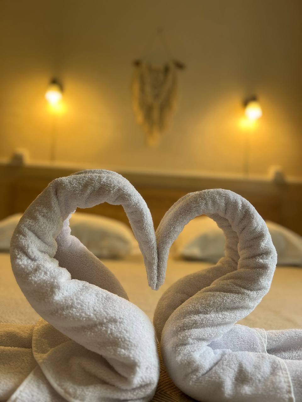 Фото Подснежник