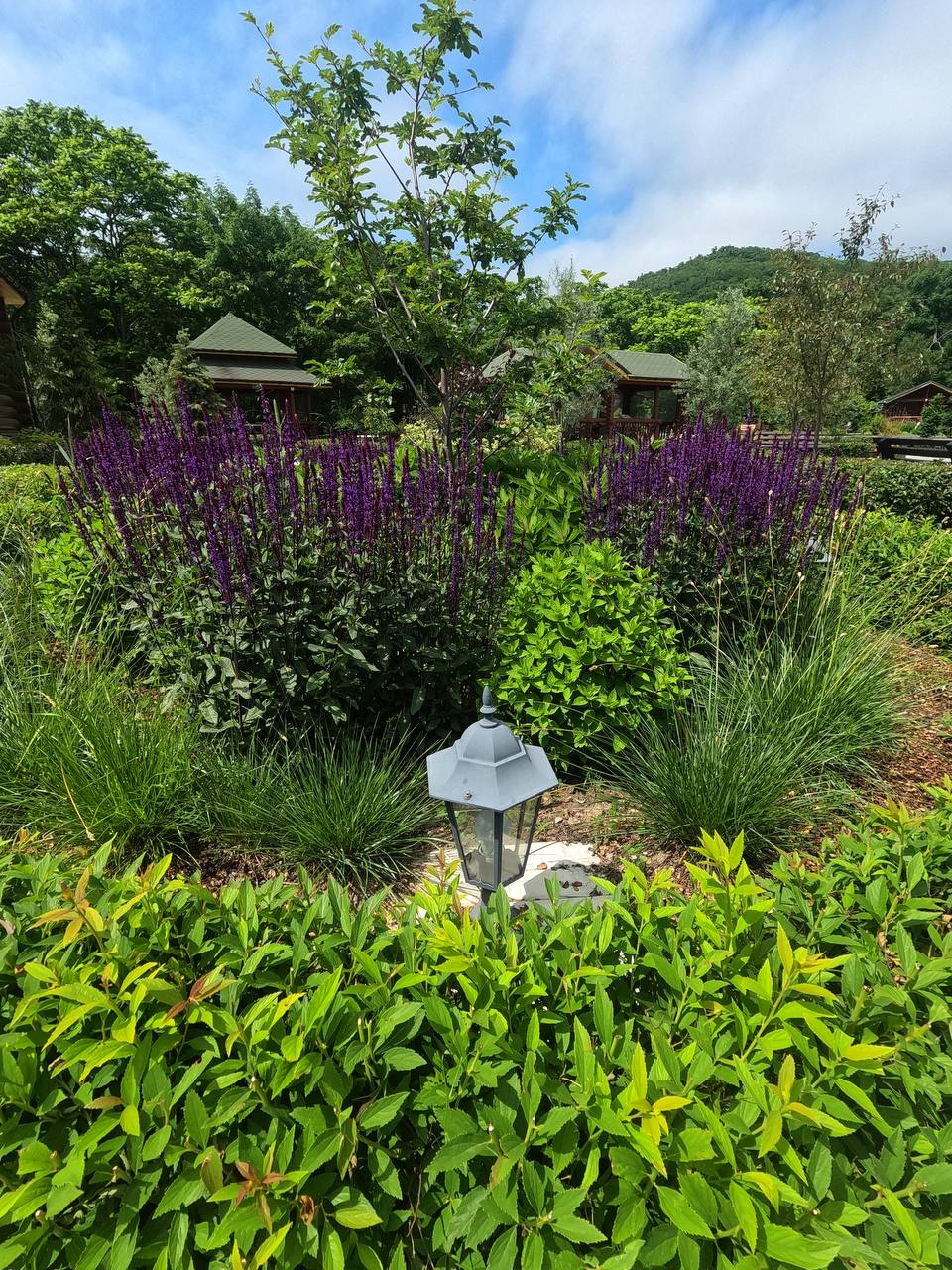 Фото Рублино