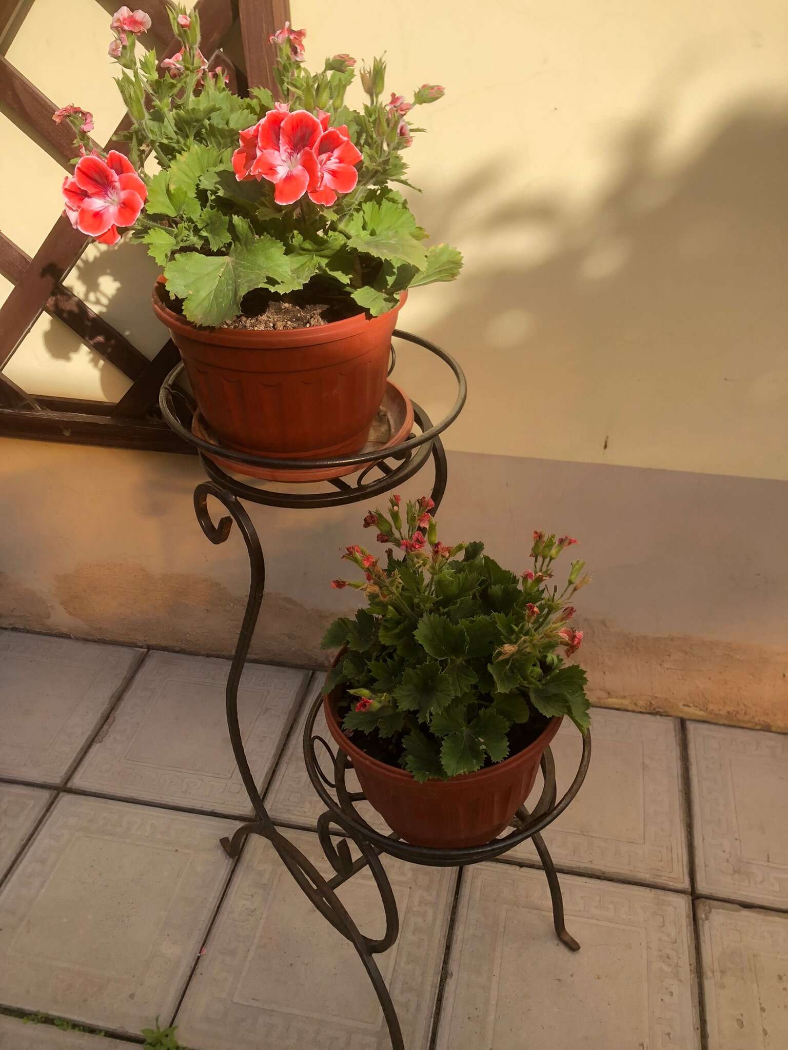 Фото Амосов