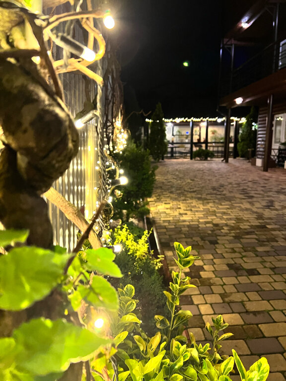 Фото Гостевой дом Морская 250