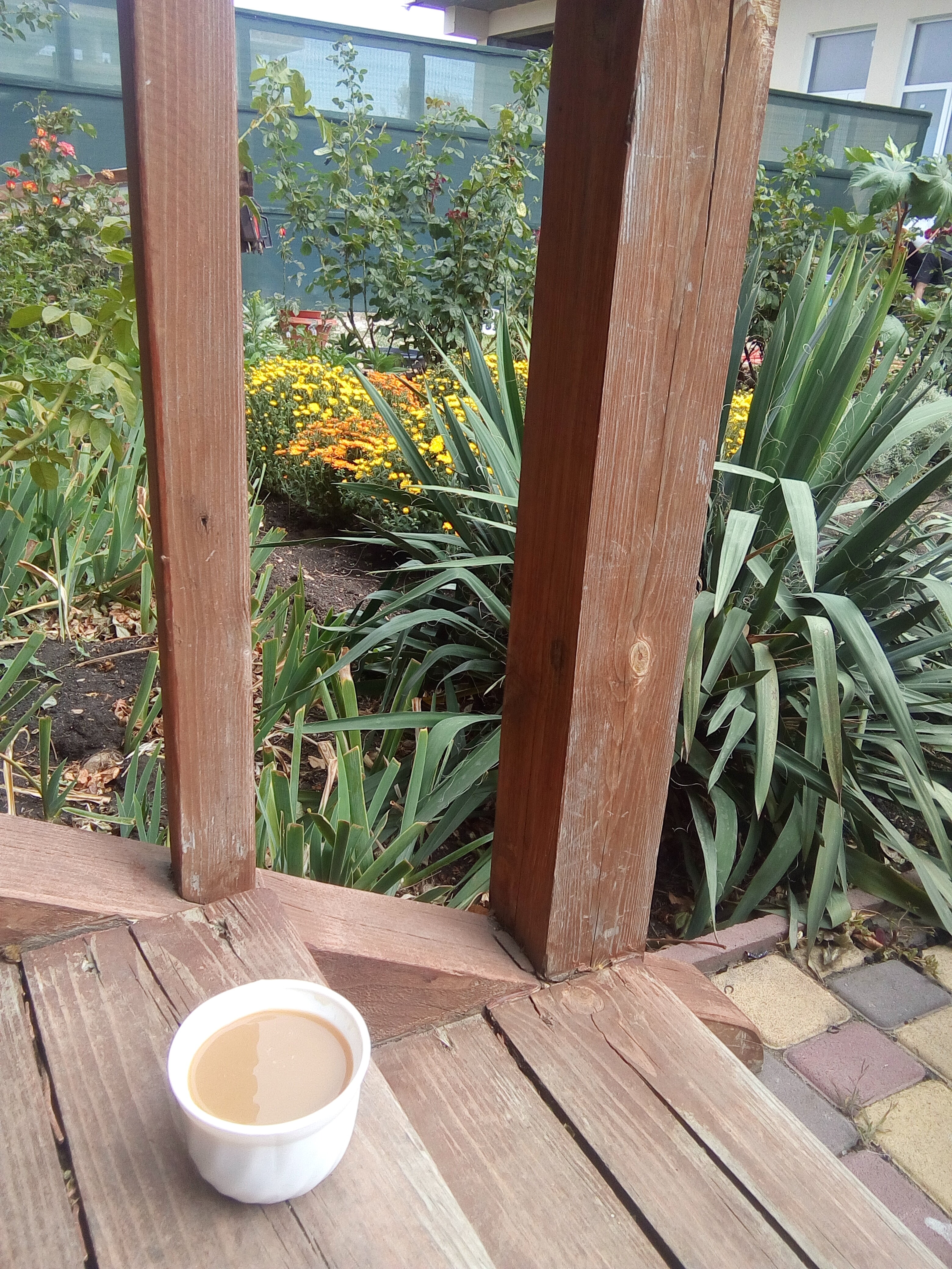 Фото Вилла Гаянэ