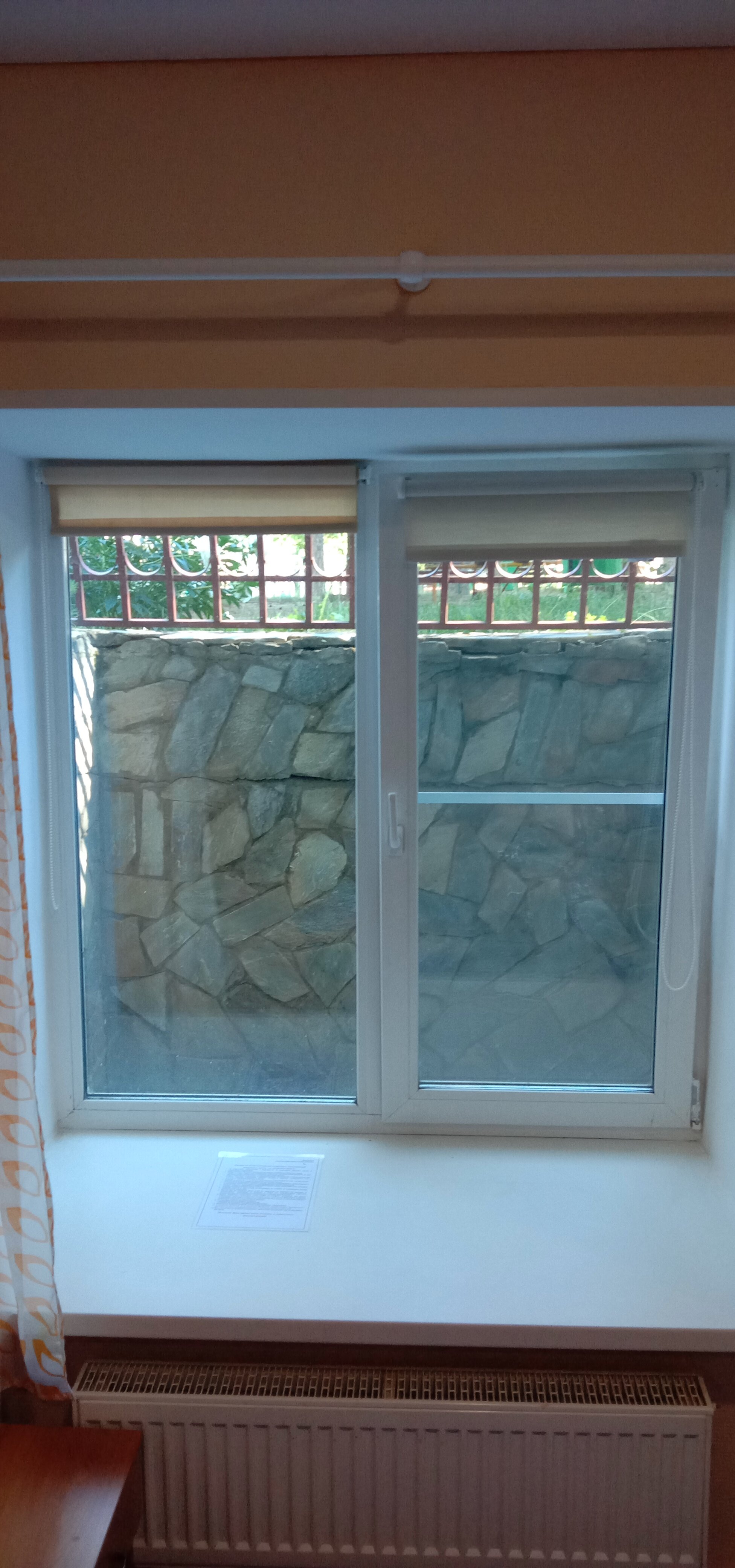 Фото 4 Апельсина