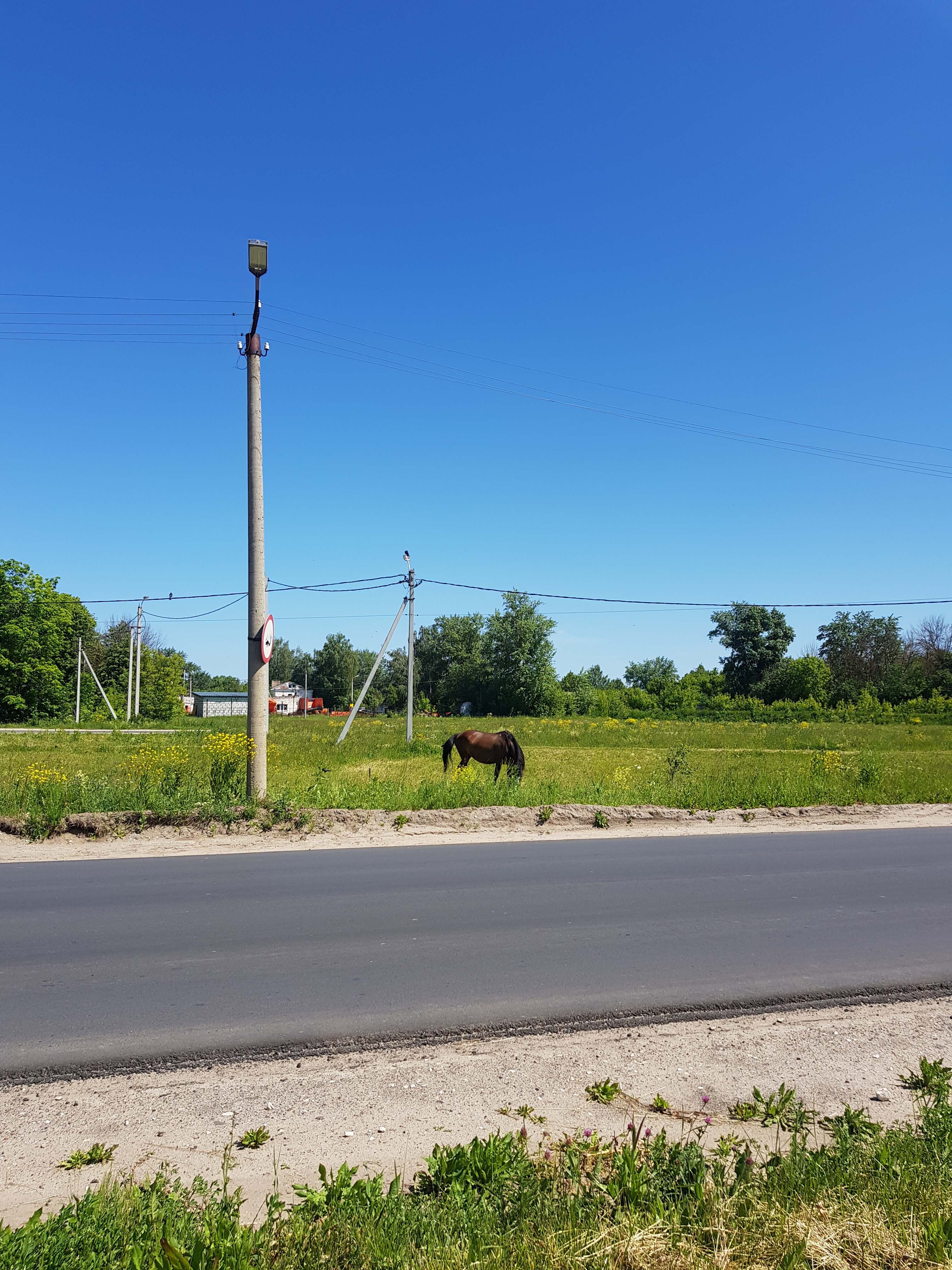 Фото Изба Агафоновых