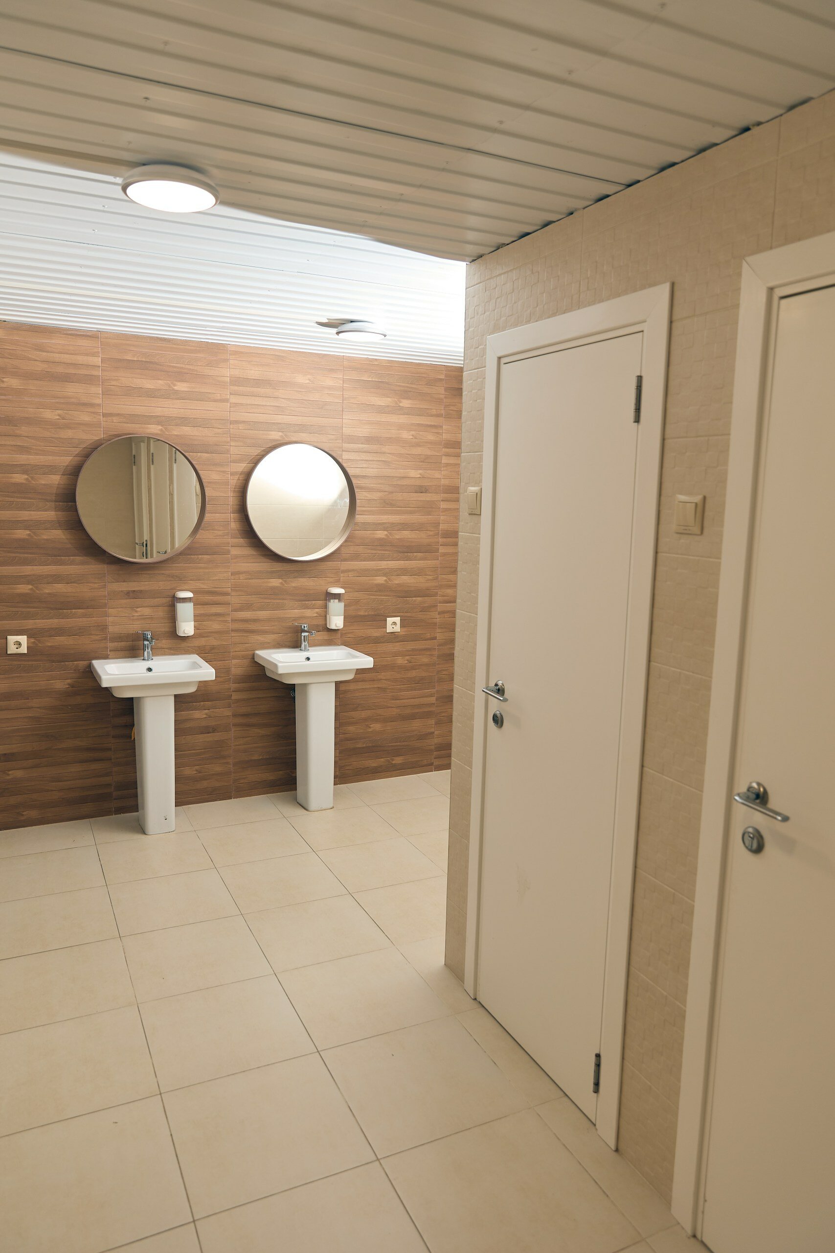 Фото Iva тенистая