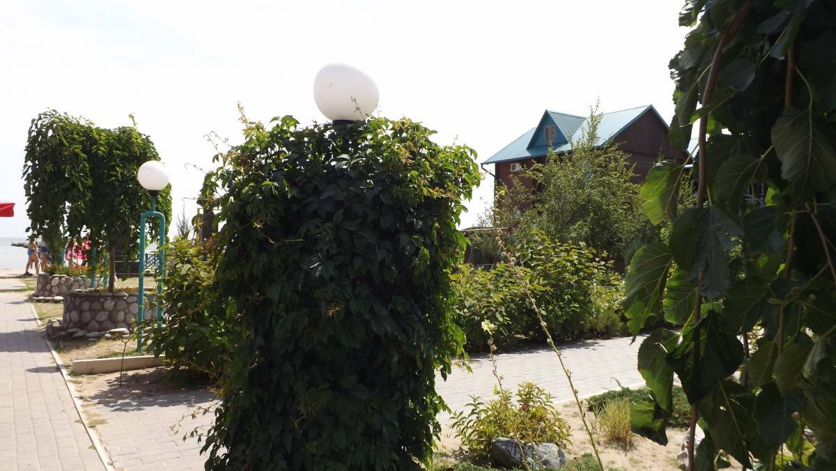 Фото Новинка